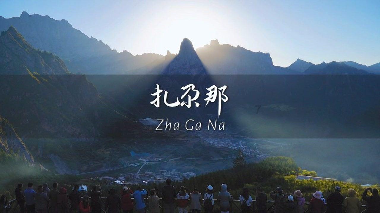 解救野生狐狸