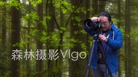 S佳通：预计2023年归属于母公司所有者的净利润约1.83亿元，同比增加432%